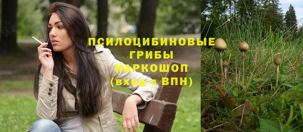 прущий лед Надым