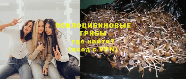 прущий лед Надым