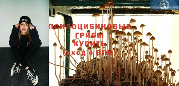 прущий лед Надым